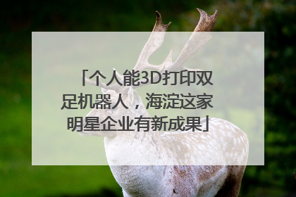 个人能3D打印双足机器人，海淀这家明星企业有新成果