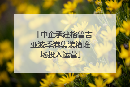 中企承建格鲁吉亚波季港集装箱堆场投入运营