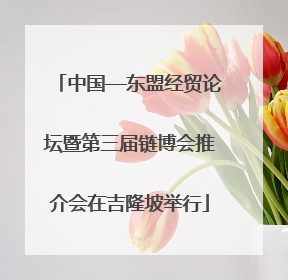 中国—东盟经贸论坛暨第三届链博会推介会在吉隆坡举行