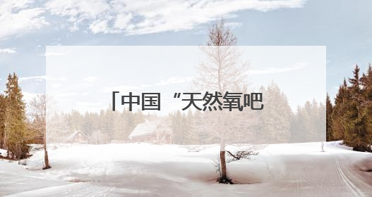 中国“天然氧吧”的生态密码