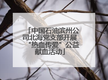 中国石油滨州公司北海党支部开展“热血传爱”公益献血活动