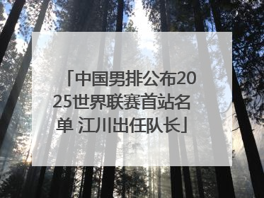 中国男排公布2025世界联赛首站名单 江川出任队长