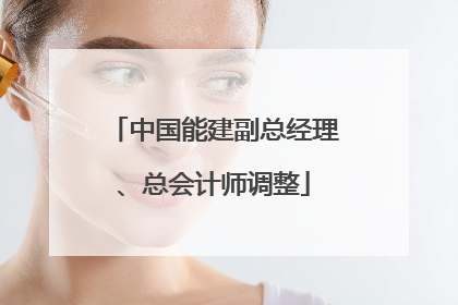 中国能建副总经理、总会计师调整
