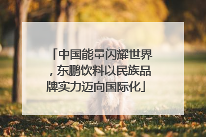 中国能量闪耀世界，东鹏饮料以民族品牌实力迈向国际化