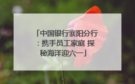中国银行襄阳分行：携手员工家庭 探秘海洋迎六一