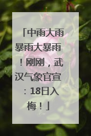 中雨大雨暴雨大暴雨！刚刚，武汉气象官宣：18日入梅！