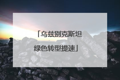 乌兹别克斯坦绿色转型提速