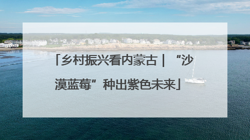乡村振兴看内蒙古｜“沙漠蓝莓”种出紫色未来