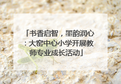 书香启智，墨韵润心：大窑中心小学开展教师专业成长活动