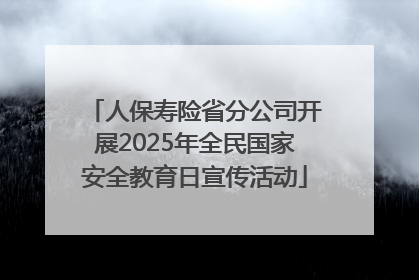 人保寿险省分公司开展2025年全民国家安全教育日宣传活动