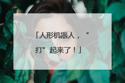 人形机器人，“打”起来了！