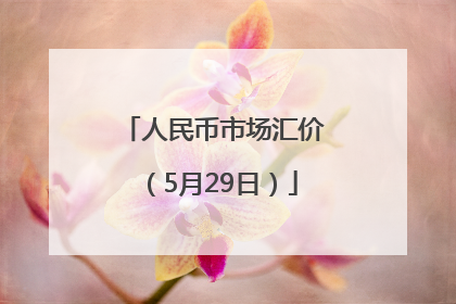 人民币市场汇价（5月29日）