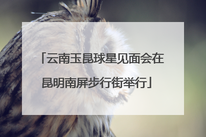 云南玉昆球星见面会在昆明南屏步行街举行
