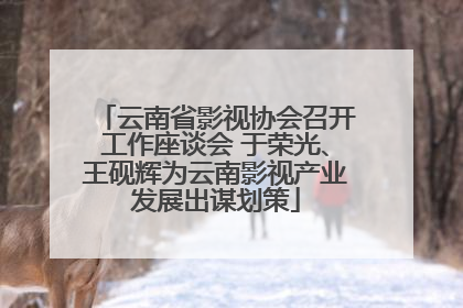 云南省影视协会召开工作座谈会 于荣光、王砚辉为云南影视产业发展出谋划策