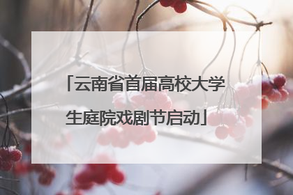 云南省首届高校大学生庭院戏剧节启动