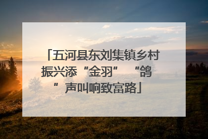 五河县东刘集镇乡村振兴添“金羽” “鸽”声叫响致富路