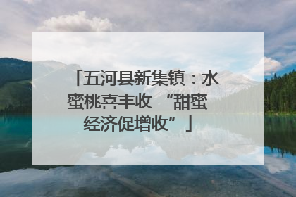 五河县新集镇：水蜜桃喜丰收 “甜蜜经济促增收”