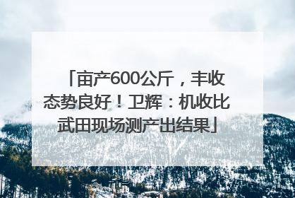 亩产600公斤，丰收态势良好！卫辉：机收比武田现场测产出结果