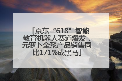 京东“618”智能教育机器人赛道爆发，元萝卜全系产品销售同比171%成黑马