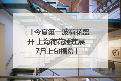 今夏第一波荷花盛开 上海荷花睡莲展7月上旬揭幕