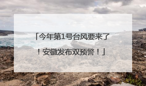 今年第1号台风要来了！安徽发布双预警！