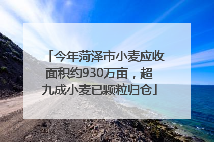 今年菏泽市小麦应收面积约930万亩，超九成小麦已颗粒归仓