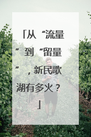 从“流量”到“留量”，新民歌湖有多火？
