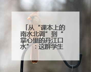从“课本上的南水北调”到“掌心里的丹江口水”：这群学生把研学写成了“成长笔记”