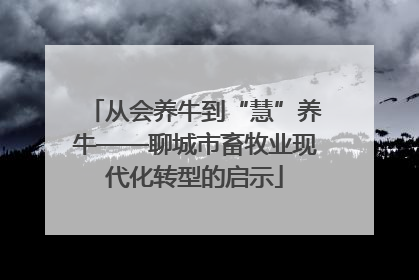 从会养牛到“慧”养牛——聊城市畜牧业现代化转型的启示