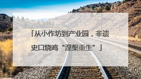 从小作坊到产业园，非遗史口烧鸡“涅槃重生”