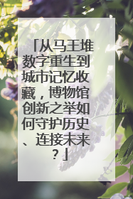 从马王堆数字重生到城市记忆收藏，博物馆创新之举如何守护历史、连接未来？