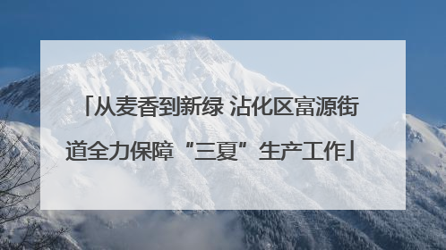 从麦香到新绿 沾化区富源街道全力保障“三夏”生产工作