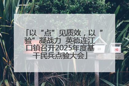 以“点”见质效，以“验”凝战力  英德连江口镇召开2025年度基干民兵点验大会