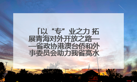 以“专”业之力 拓展青海对外开放之路——省政协港澳台侨和外事委员会助力我省高水平开放和高质量发展