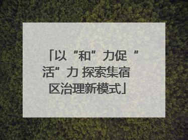 以“和”力促“活”力 探索集宿区治理新模式