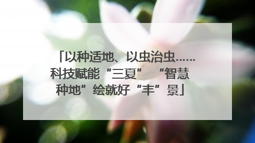 以种适地、以虫治虫……科技赋能“三夏” “智慧种地”绘就好“丰”景