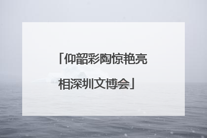 仰韶彩陶惊艳亮相深圳文博会