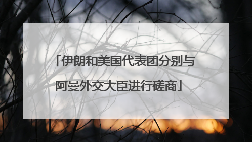 伊朗和美国代表团分别与阿曼外交大臣进行磋商