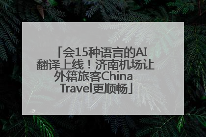 会15种语言的AI翻译上线！济南机场让外籍旅客China Travel更顺畅