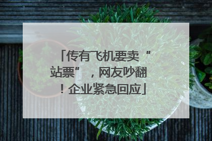 传有飞机要卖“站票”，网友吵翻！企业紧急回应
