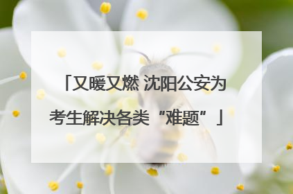又暖又燃 沈阳公安为考生解决各类“难题”