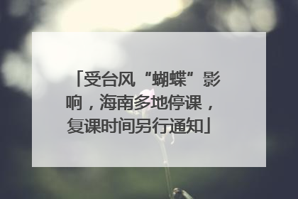 受台风“蝴蝶”影响，海南多地停课，复课时间另行通知