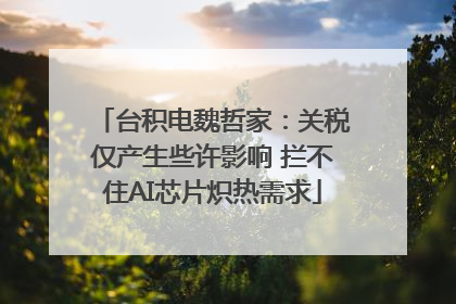 台积电魏哲家：关税仅产生些许影响 拦不住AI芯片炽热需求