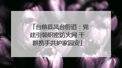 台前县凤台街道：党建引领织密防火网 干群携手共护家园安