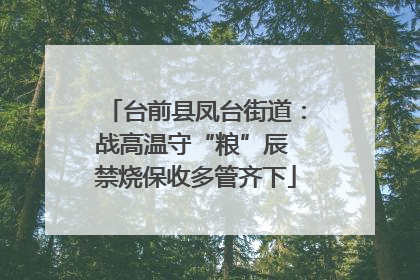 台前县凤台街道：战高温守“粮”辰 禁烧保收多管齐下