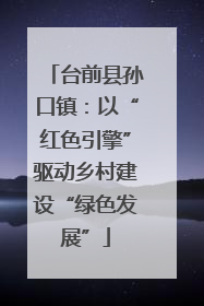 台前县孙口镇：以“红色引擎”驱动乡村建设“绿色发展”