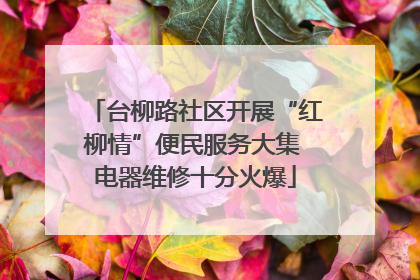 台柳路社区开展“红柳情”便民服务大集 电器维修十分火爆