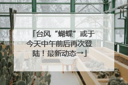 台风“蝴蝶”或于今天中午前后再次登陆！最新动态→