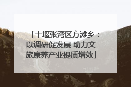 十堰张湾区方滩乡：以调研促发展 助力文旅康养产业提质增效
