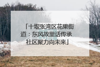 十堰张湾区花果街道：东风故里话传承 社区聚力向未来